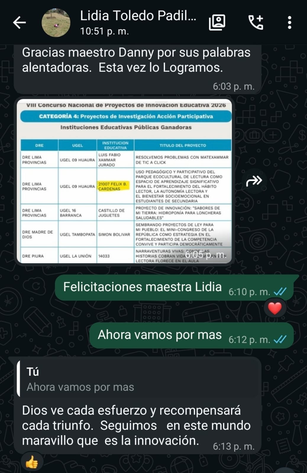 Testimonio de participante 17 sobre el acompañamiento en proyectos de innovación